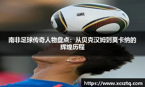 星空综合股份(中国)